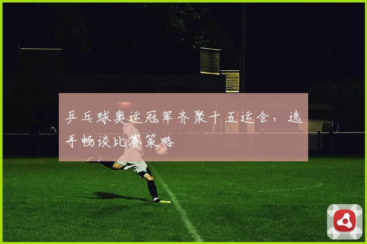 乒乓球奥运冠军齐聚十五运会，选手畅谈比赛策略